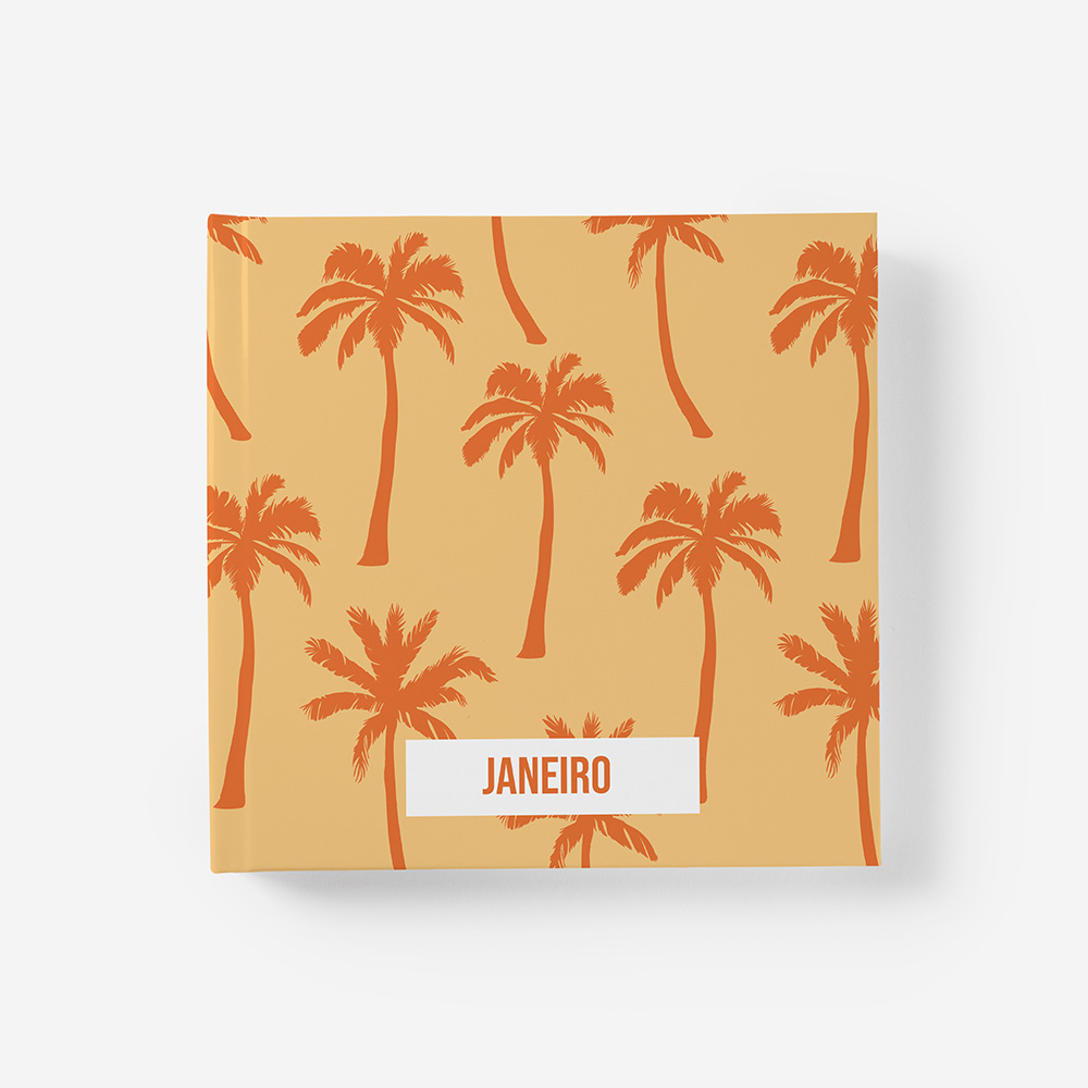 Álbum Janeiro 1